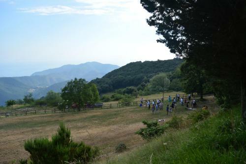 Agroturismo Agriturismo Monte Pu'