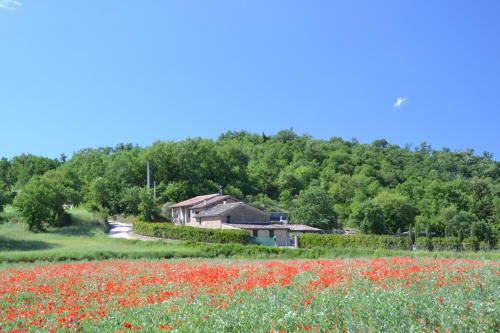 Casa Nestore Holiday Apartments