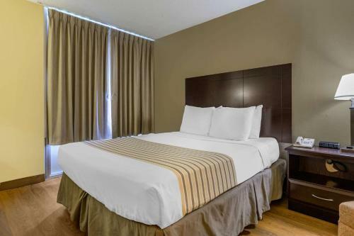 Hotel Econo Lodge Inn & Suites Triadelphia