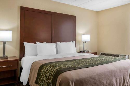 Hotel Comfort Inn - Pocono Mountain