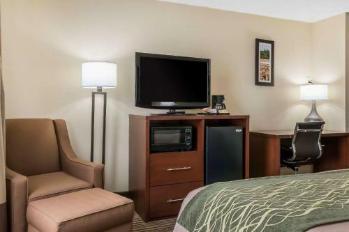 Hotel Comfort Inn - Pocono Mountain