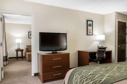 Hotel Comfort Inn - Pocono Mountain