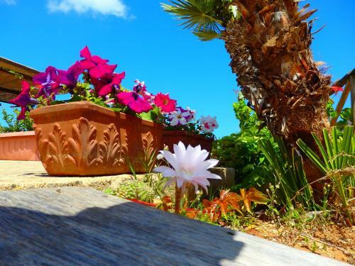 Hotel Baglio Cofano Rooms & Relax
