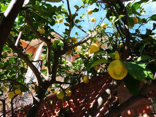 Apartamento Villa Delle Ciliegie