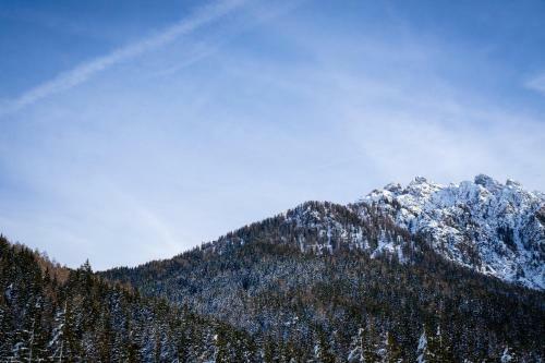 Apartments & Relax Greta