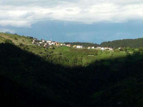 Hotel Albergo Al Pino