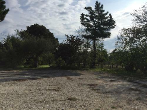 Agroturismo Locanda Marzi