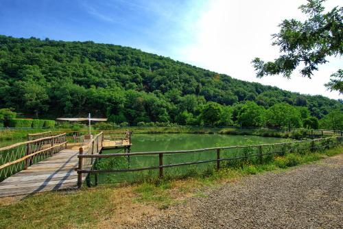 Figline Valdarno Apartment Sleeps 5
