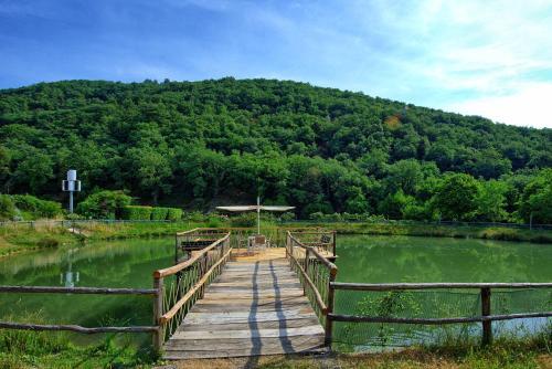Figline Valdarno Apartment Sleeps 5