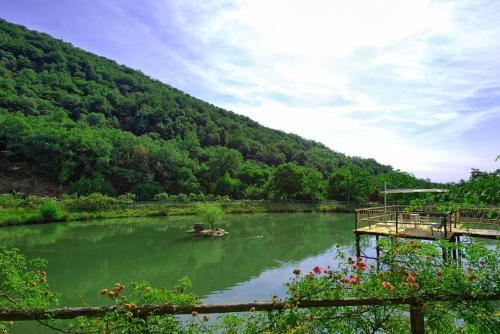 Figline Valdarno Apartment Sleeps 8