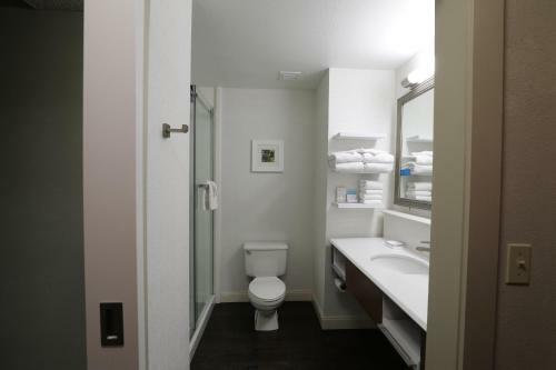 Hotel Hampton Inn Dyersburg
