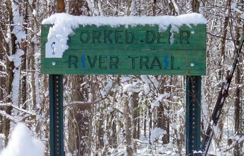 Hotel Hampton Inn Dyersburg