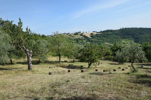 Bed & Breakfast Agriturismo Terra Selvatica