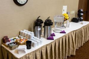 Hotel Comfort Inn Okemos