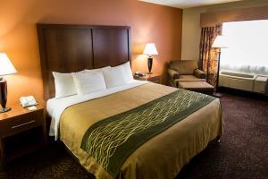 Hotel Comfort Inn Okemos