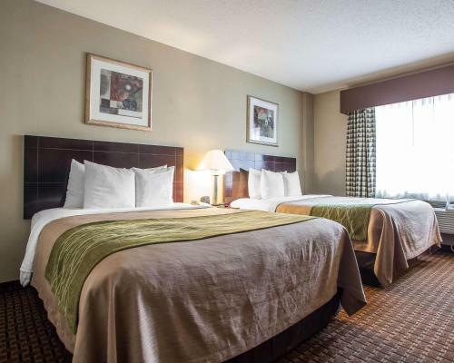 Hotel Comfort Inn Toms River