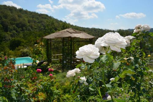 B&B Podere Il Colto