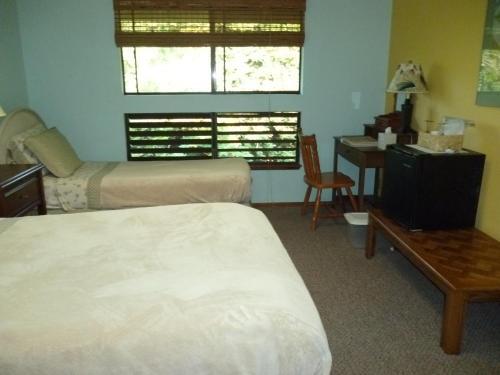 A Beautiful Edge Of The World Bed & Breakfast