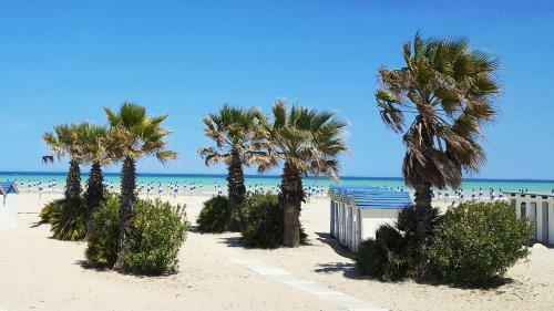Apartamento Appartamento Smeraldo B1 - Myho Casa