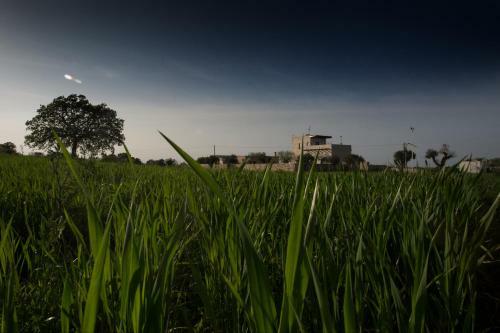 Masseria Stella