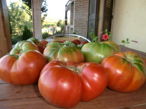 Bed & Breakfast El Capricho De Los Montes