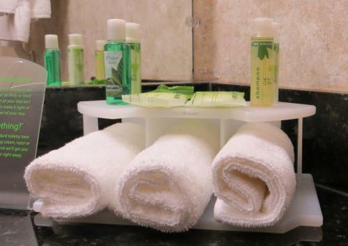 Hotel Holiday Inn Express Canandaigua