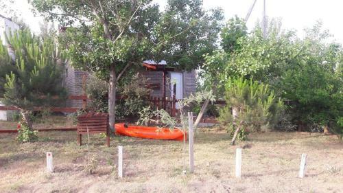 El Arbolito Pehuen Co
