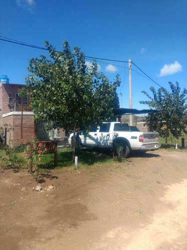 Apartamento Pehuen Del Este