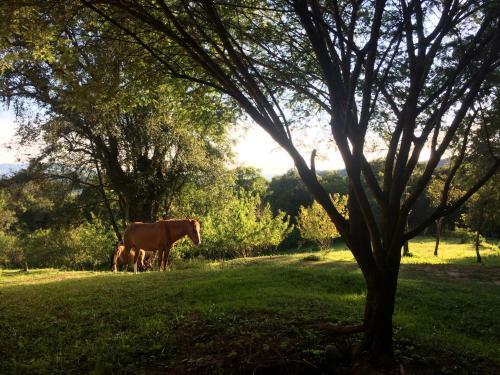 Agroturismo La Arbolada