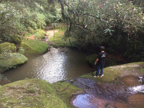 Agroturismo La Arbolada