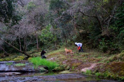 Agroturismo La Arbolada