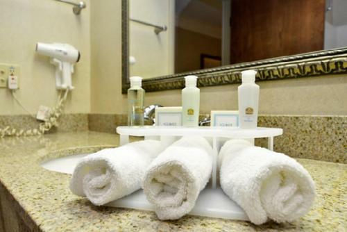 Hotel Best Western Plus Madisonville Inn