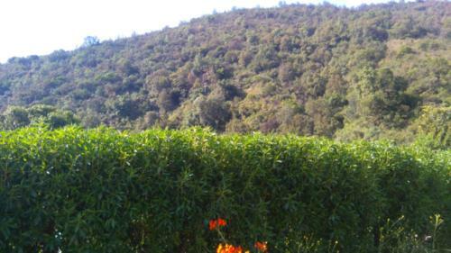 Agroturismo Parcela Santa Teresa