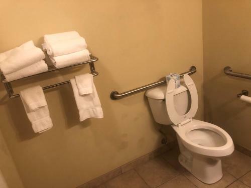 Hotel Cobblestone Inn & Suites Eads