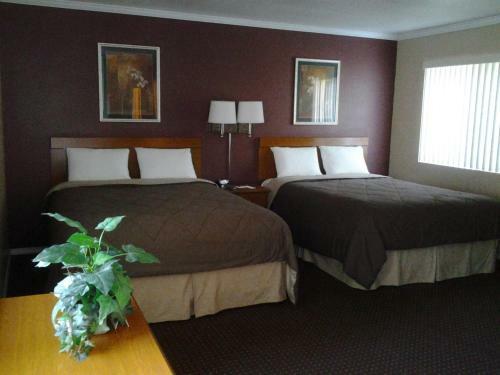 Maple Leaf Motel