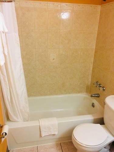 Motel Red Carpet Inn Bayshore