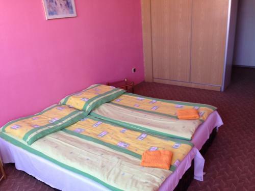 Albergue Penzion Cestar