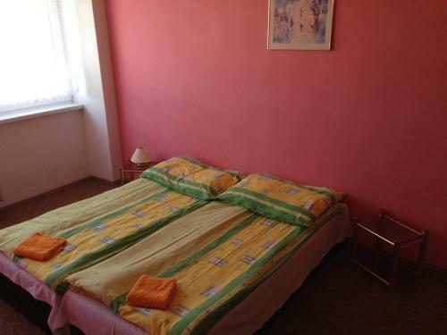 Albergue Penzion Cestar