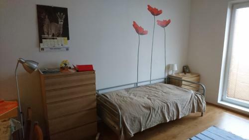 Apartman Pod Dedovkou