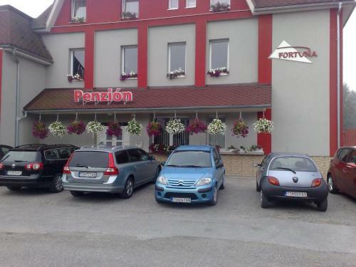Hostal Guest House Penzi�n Fortuna