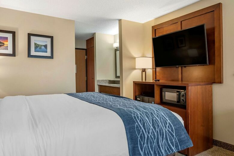 Hotel Comfort Inn & Suites Dimondale