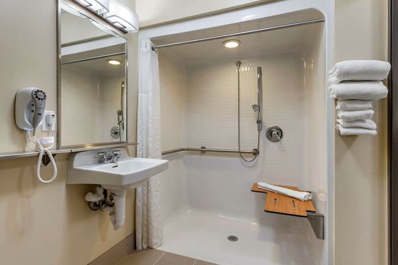 Hotel Comfort Inn & Suites Dimondale
