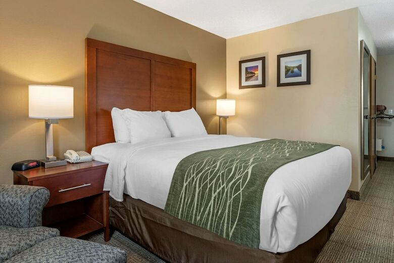 Hotel Comfort Inn & Suites Dimondale