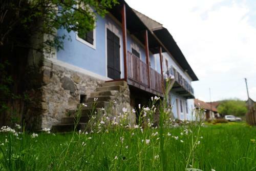Apartm�n V H�ji - Jache Dom