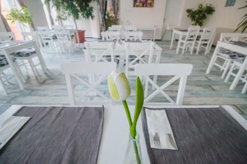 Hostal Penzi�n Exclusive