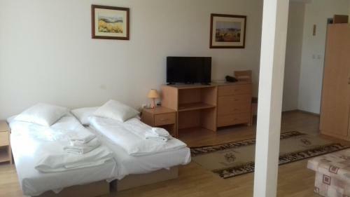 Hotel Penzion Anton