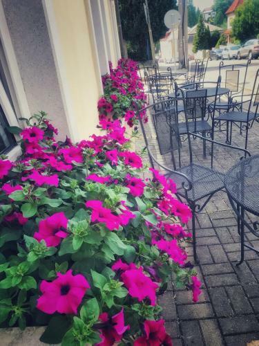 Hostal Penzion Fontis Terrae