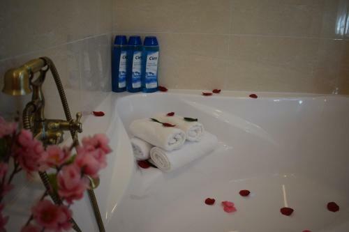 Hotel Saint Michael