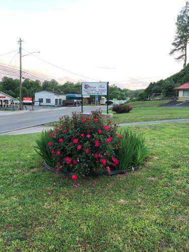 Motel Ellijay Inn