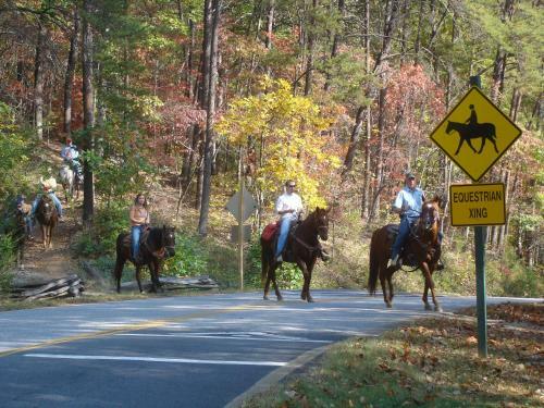 Hotel Brasstown Valley Resort & Spa